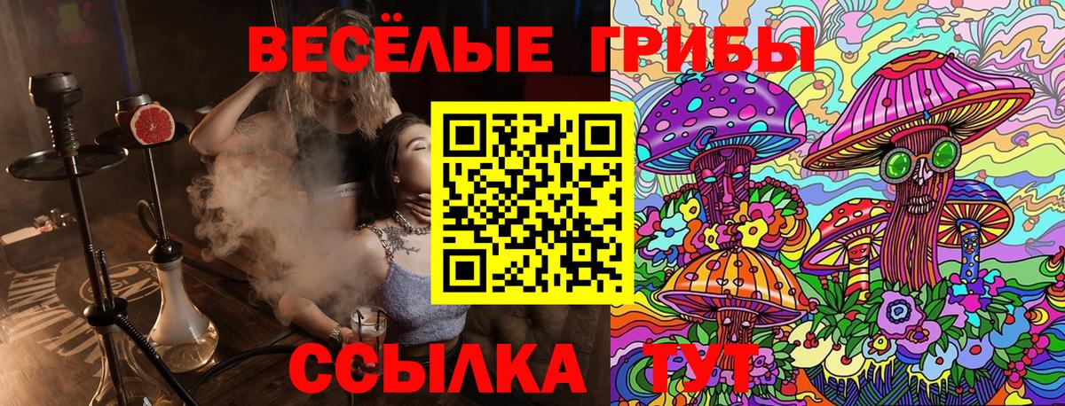 Галлюциногенные грибы ЛСД  Вход с VPN  Псилоцибиновые грибы мицелий  Ставрополь 